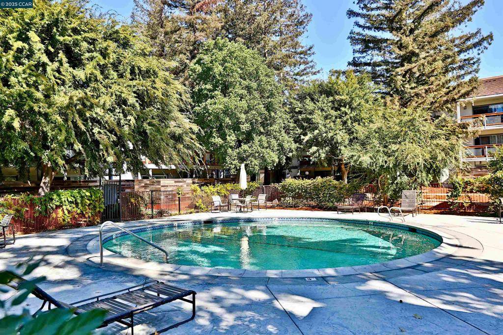 Concord, CA 94521,4081 Clayton Rd #328
