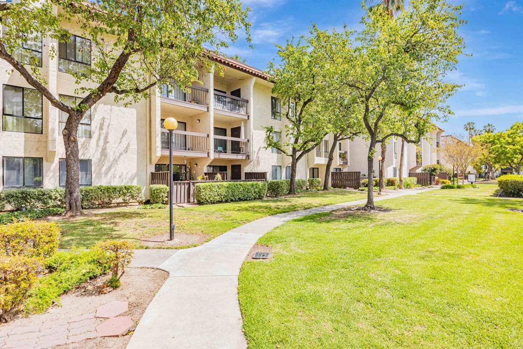 Newark, CA 94560,39821 Cedar Blvd #203