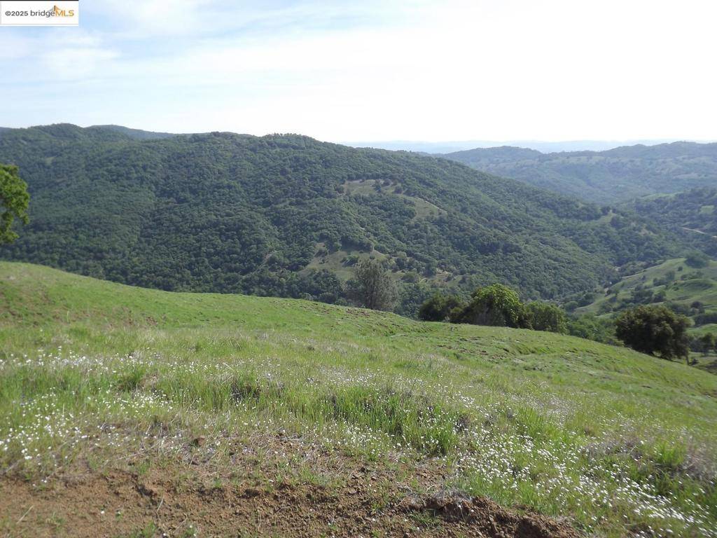 Cloverdale, CA 95425,39305 Pine Mountain RD