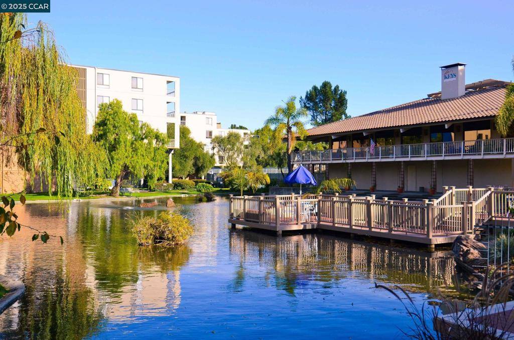 Walnut Creek, CA 94596,300 N Civic Dr #201