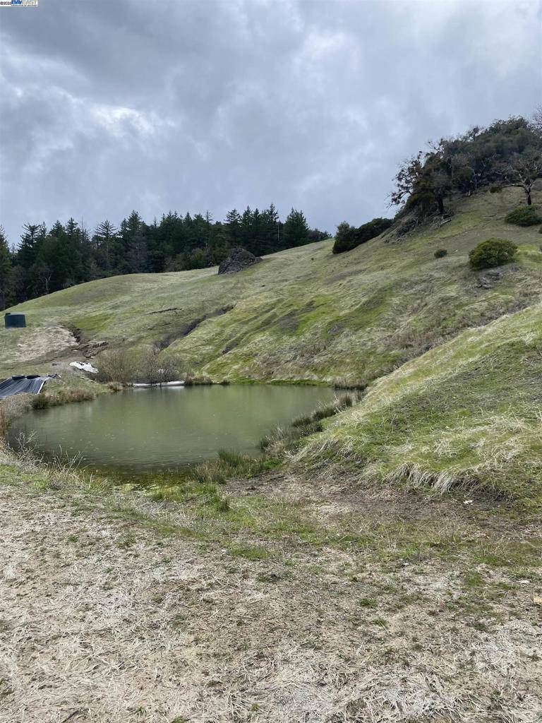 Laytonville, CA 95454,53700 Iron Creek Road