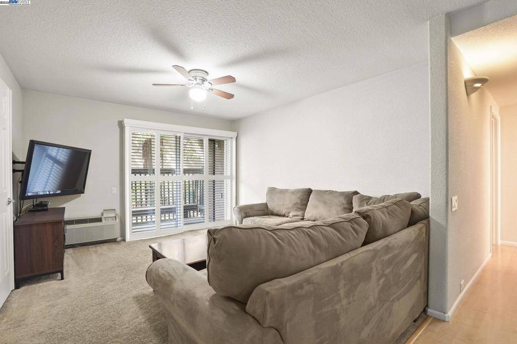 Walnut Creek, CA 94596,1236 Walker Ave #101