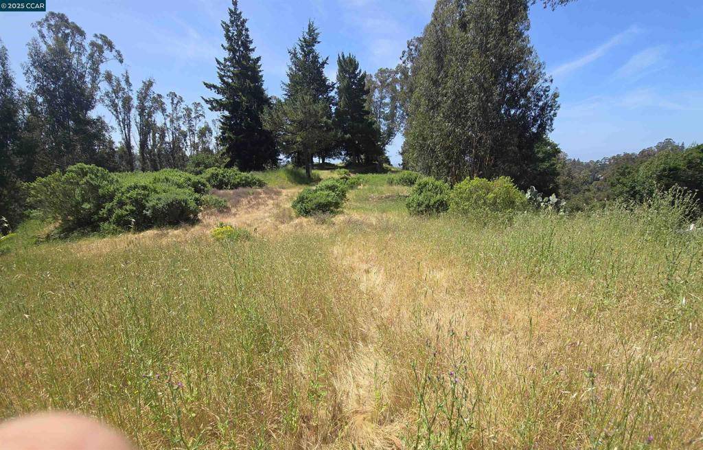 Oakland, CA 94611,6595 Thorndale Dr