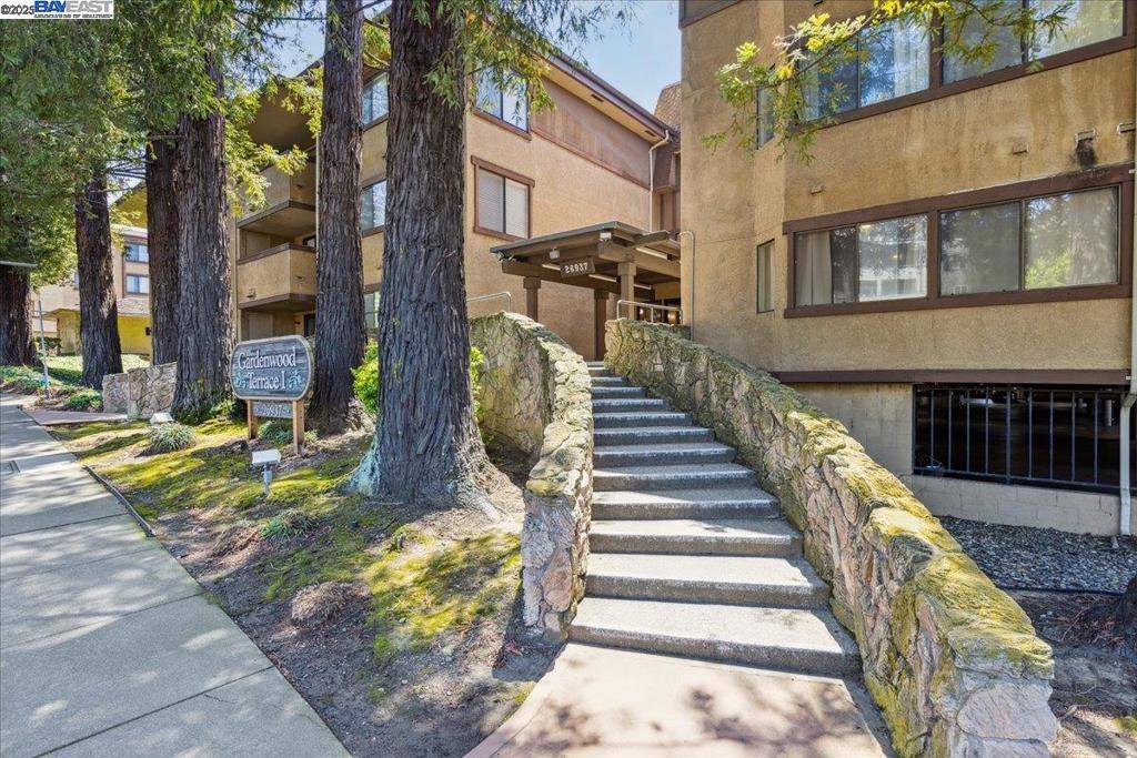 Hayward, CA 94542,26937 Hayward Blvd #217