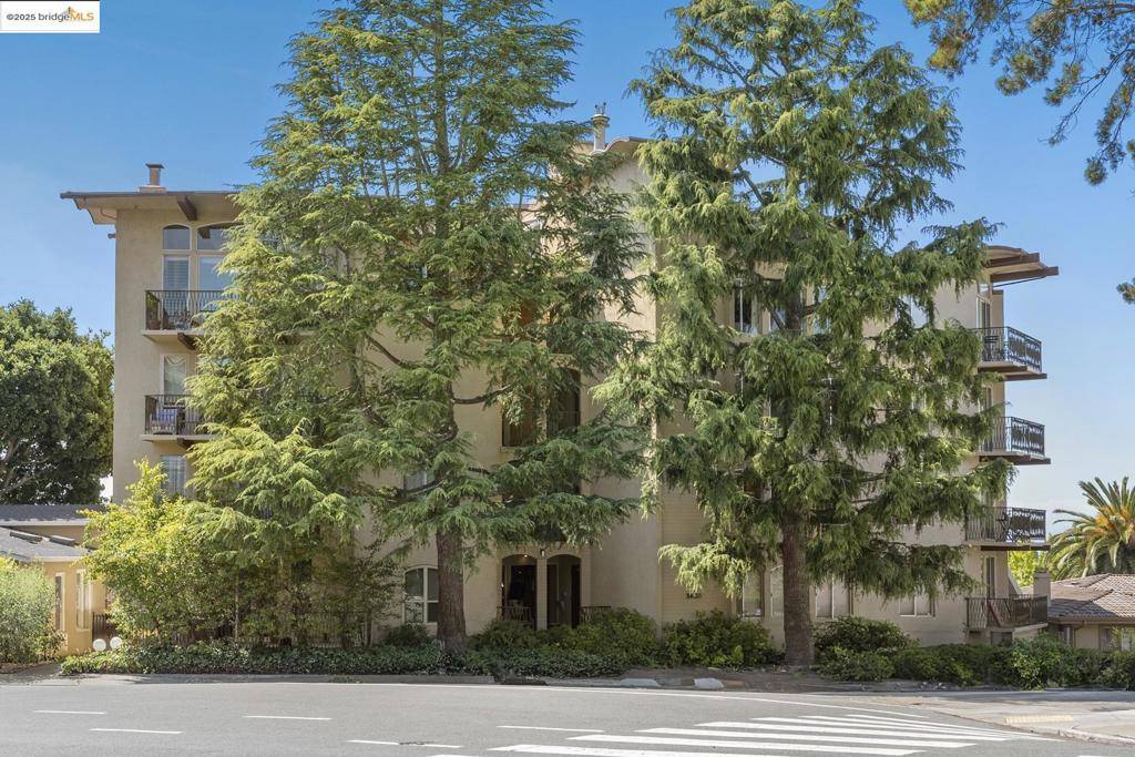 Oakland, CA 94618,5405 Carlton St #203