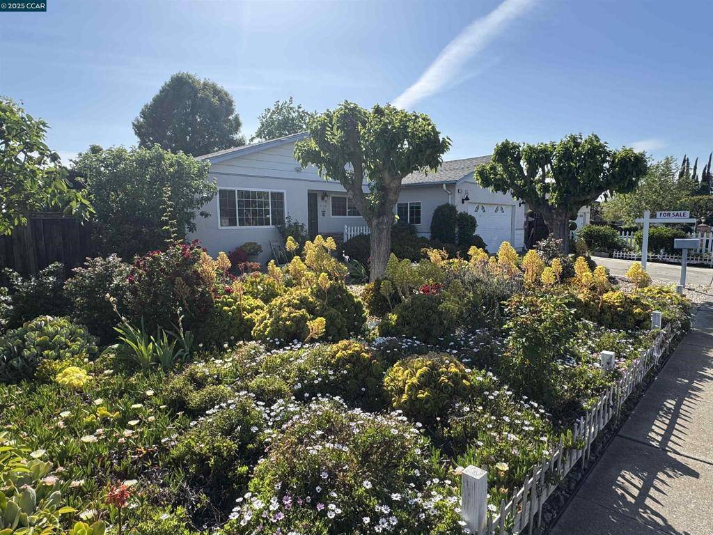 Concord, CA 94521,4190 Chaban Dr