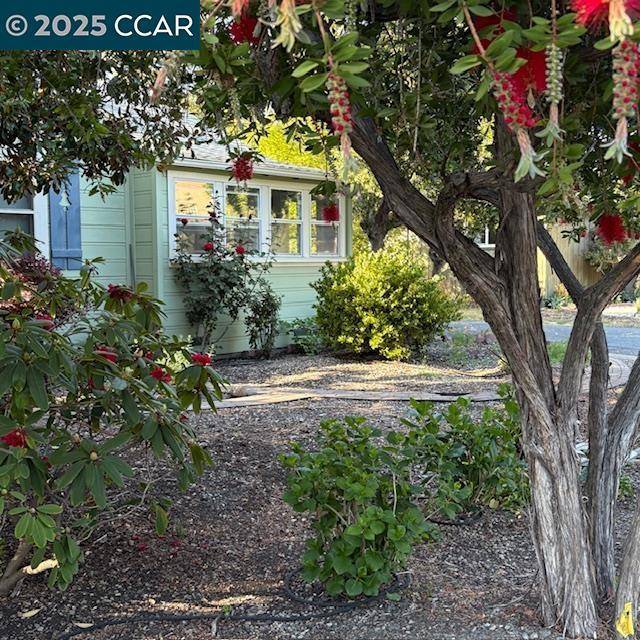 Walnut Creek, CA 94595,2150 Whyte Park Ave
