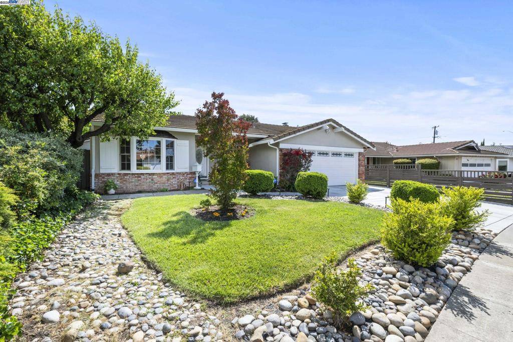 Fremont, CA 94539,44873 Camellia Dr