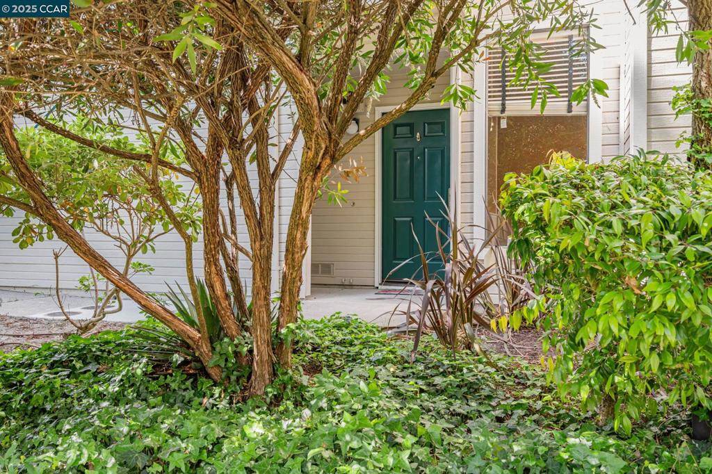 Richmond, CA 94806-5260,3616 Stoneglen S