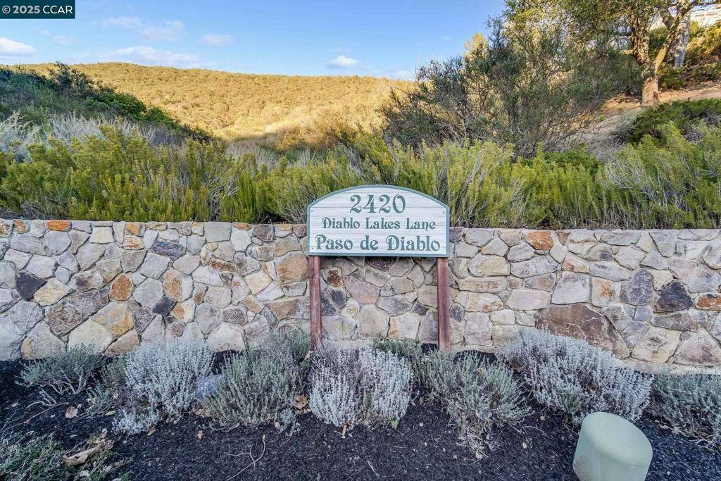 Diablo, CA 94528,2420 Diablo Lakes Ln