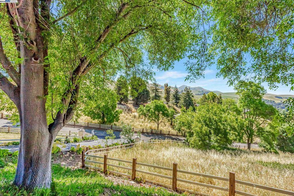Fremont, CA 94539,41660 Vargas Rd
