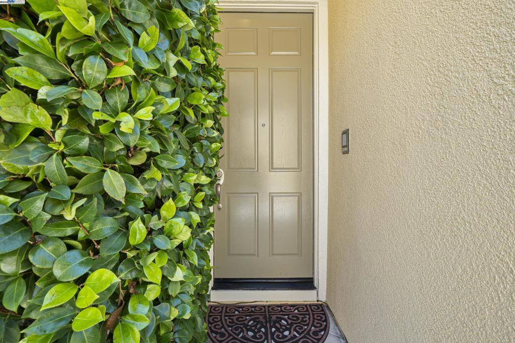 Castro Valley, CA 94552,22284 E Lyndon Loop