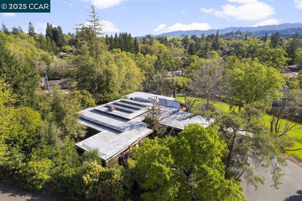 Walnut Creek, CA 94596,1101 Scots Ln