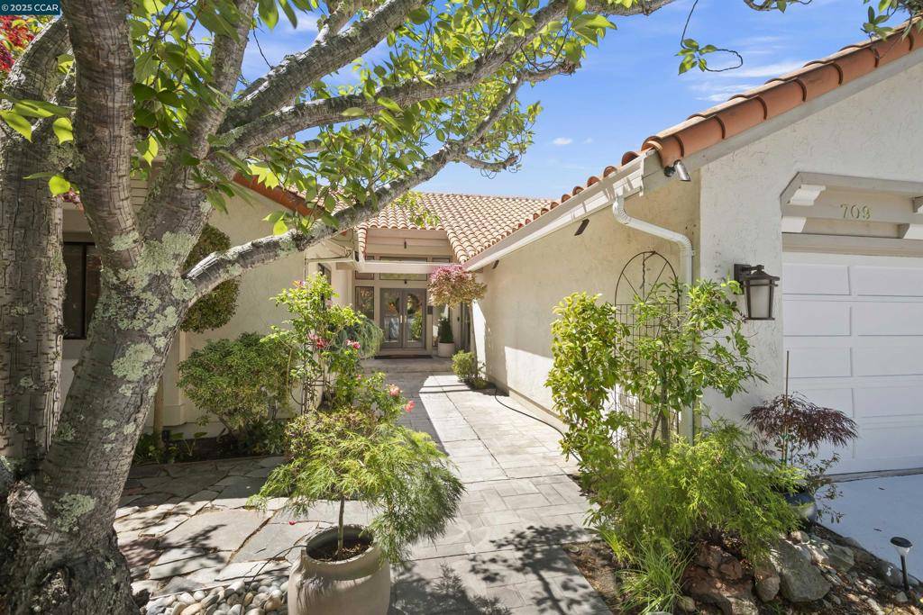 Danville, CA 94506,709 Liquidamber Pl