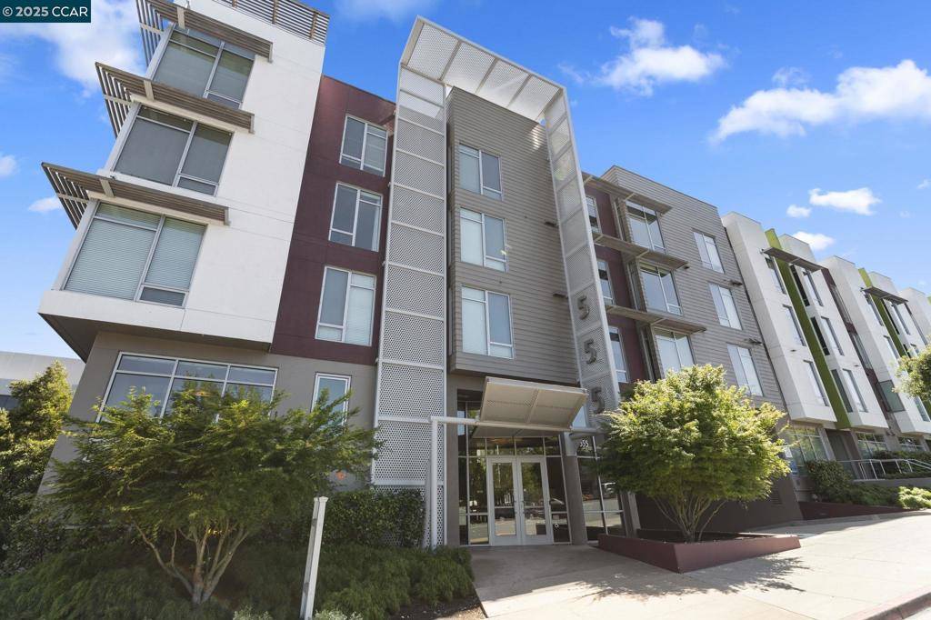 Walnut Creek, CA 94596,555 Ygnacio Valley Rd #222