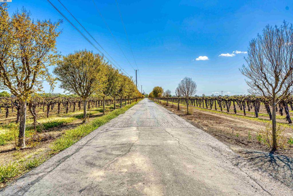 Galt, CA 95632-8500,11699 Conley Rd