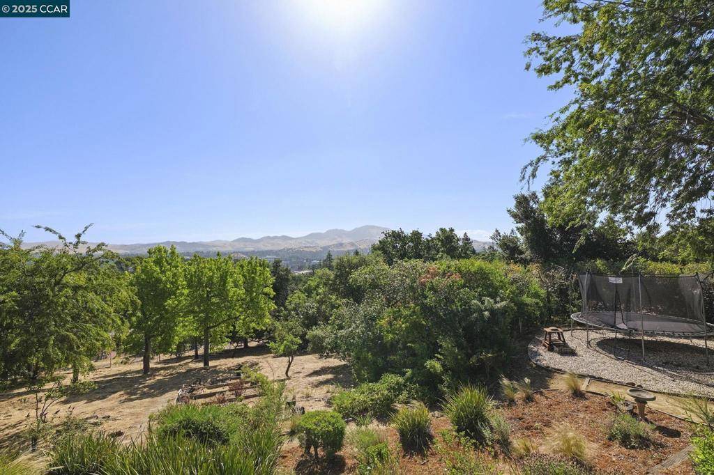 Walnut Creek, CA 94597,68 Terrace Rd