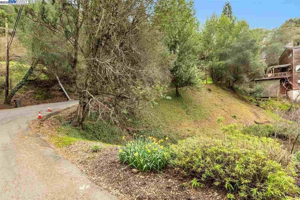 Oakland, CA 94661,0 Elderberry Dr