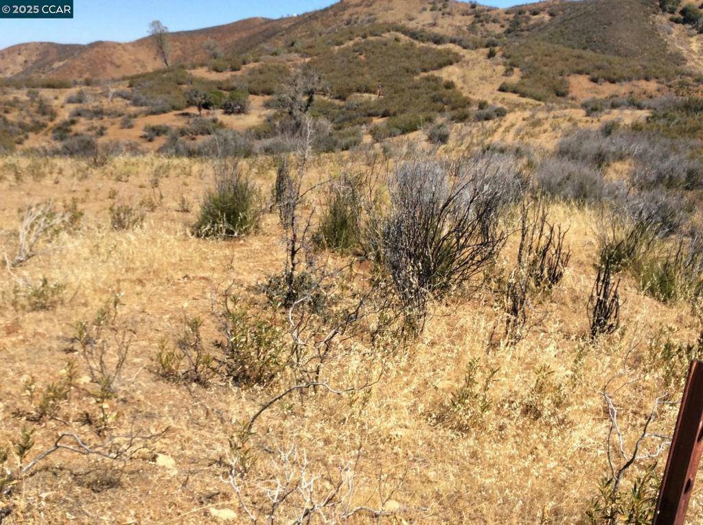 Patterson, CA 95363,0 Del Puerto Canyon Road