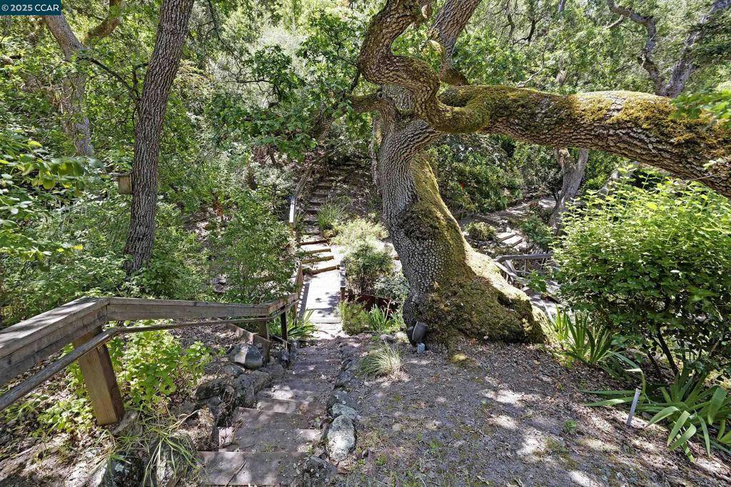 Lafayette, CA 94549,345 Shire Oaks Court