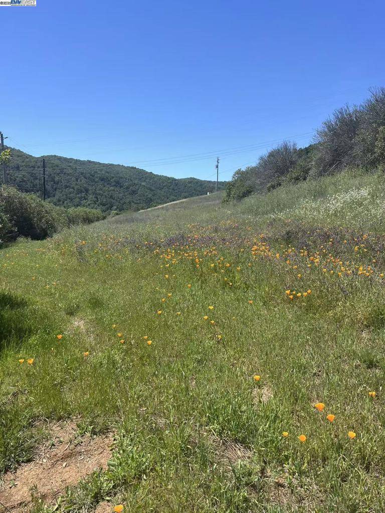 Morgan Hill, CA 95037,13160 Uvas Rd