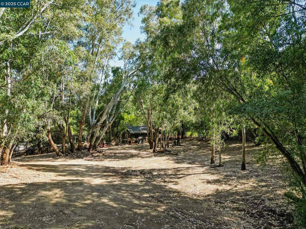 Walnut Creek, CA 94595,1491 Boulevard Way