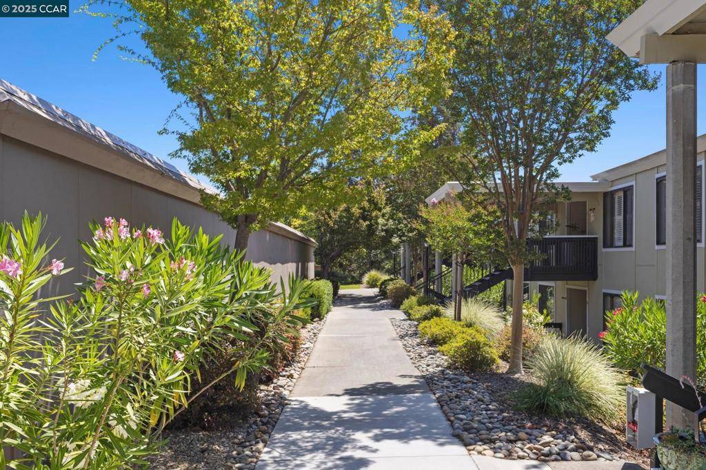Walnut Creek, CA 94595,2101 Golden Rain Rd #14
