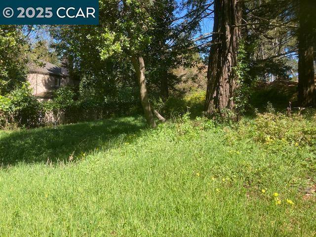 Oakland, CA 94619,0 Skyline Blvd.