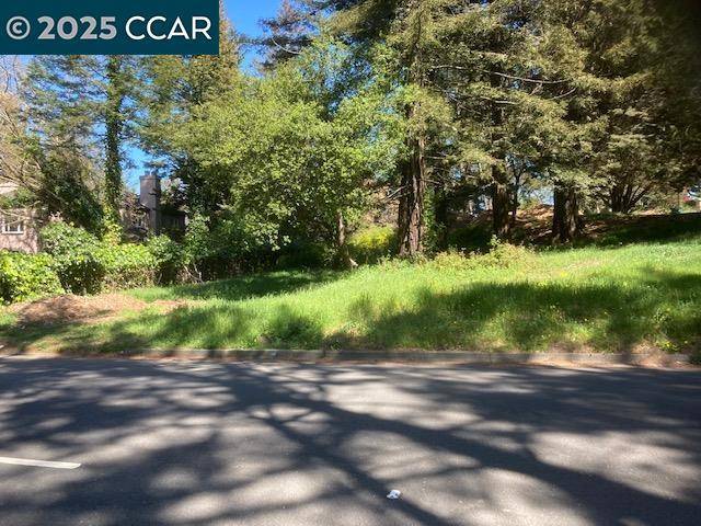 Oakland, CA 94619,0 Skyline Blvd.