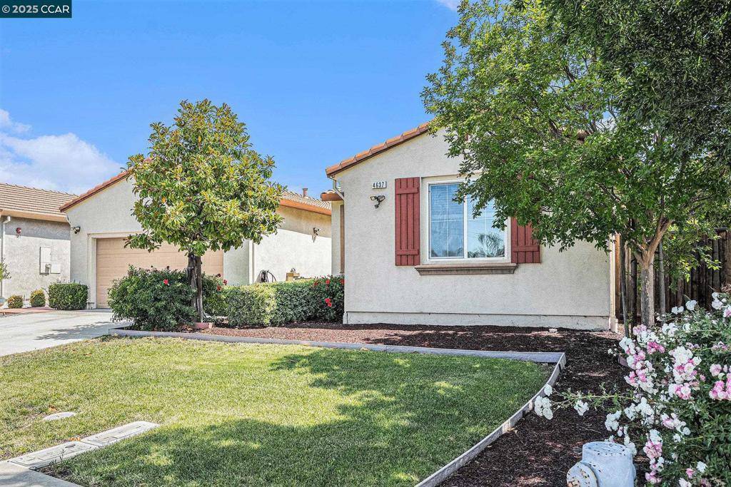 Antioch, CA 94531,4637 Appleglen St