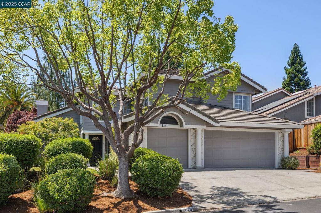 Danville, CA 94506,936 Spring Water St