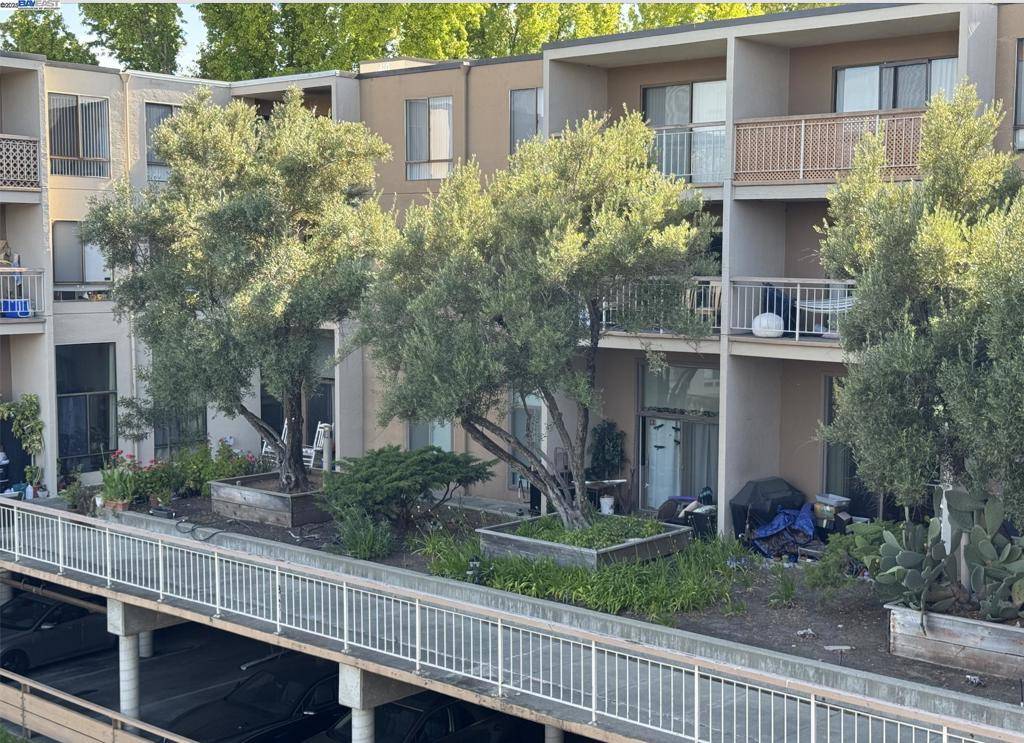 Walnut Creek, CA 94596,430 N Civic Dr #407