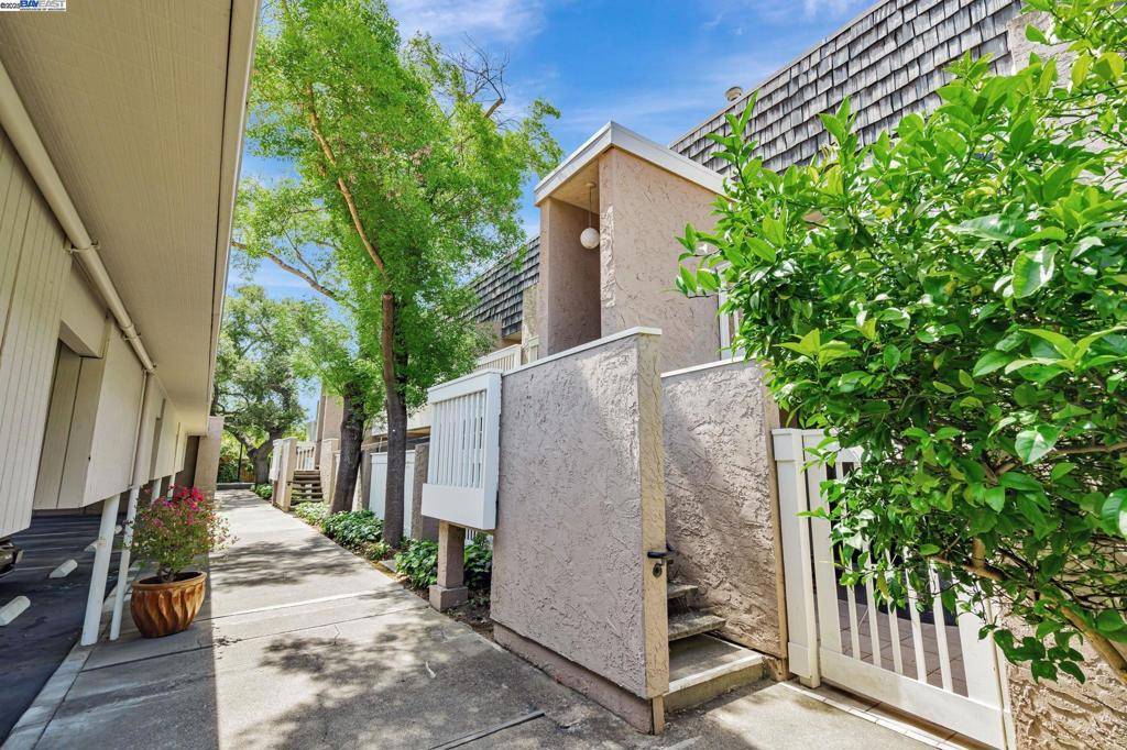 Menlo Park, CA 94025,675 Sharon Park Dr #245