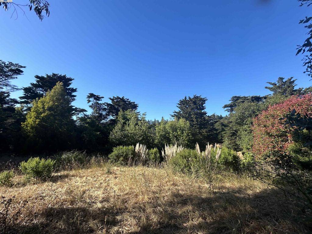 Oakland, CA 94603,Castle DR