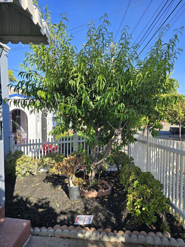 Oakland, CA 94602,2954 Delaware St