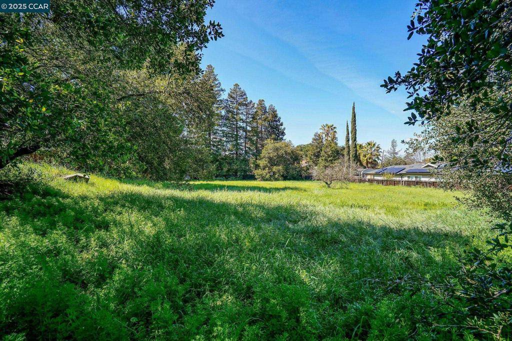 Concord, CA 94519,1561 Farm Bureau Rd