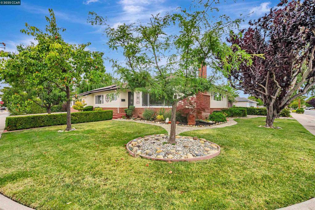 Fremont, CA 94536-7006,37880 Farwell