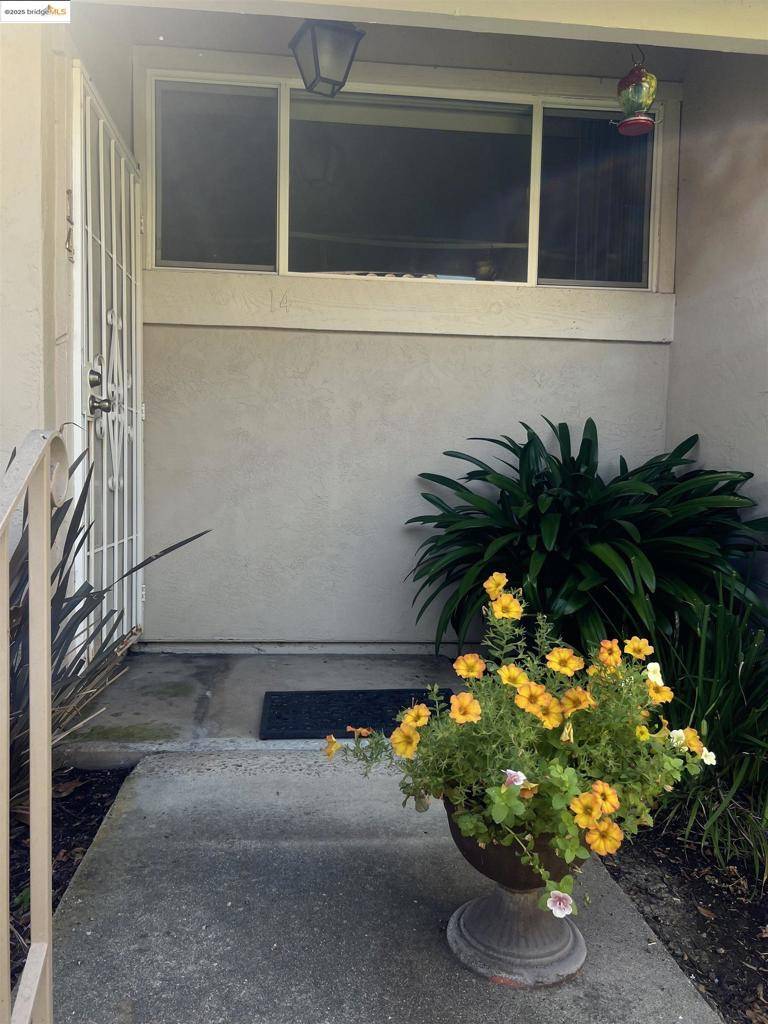 Clayton, CA 94517,Address not disclosed
