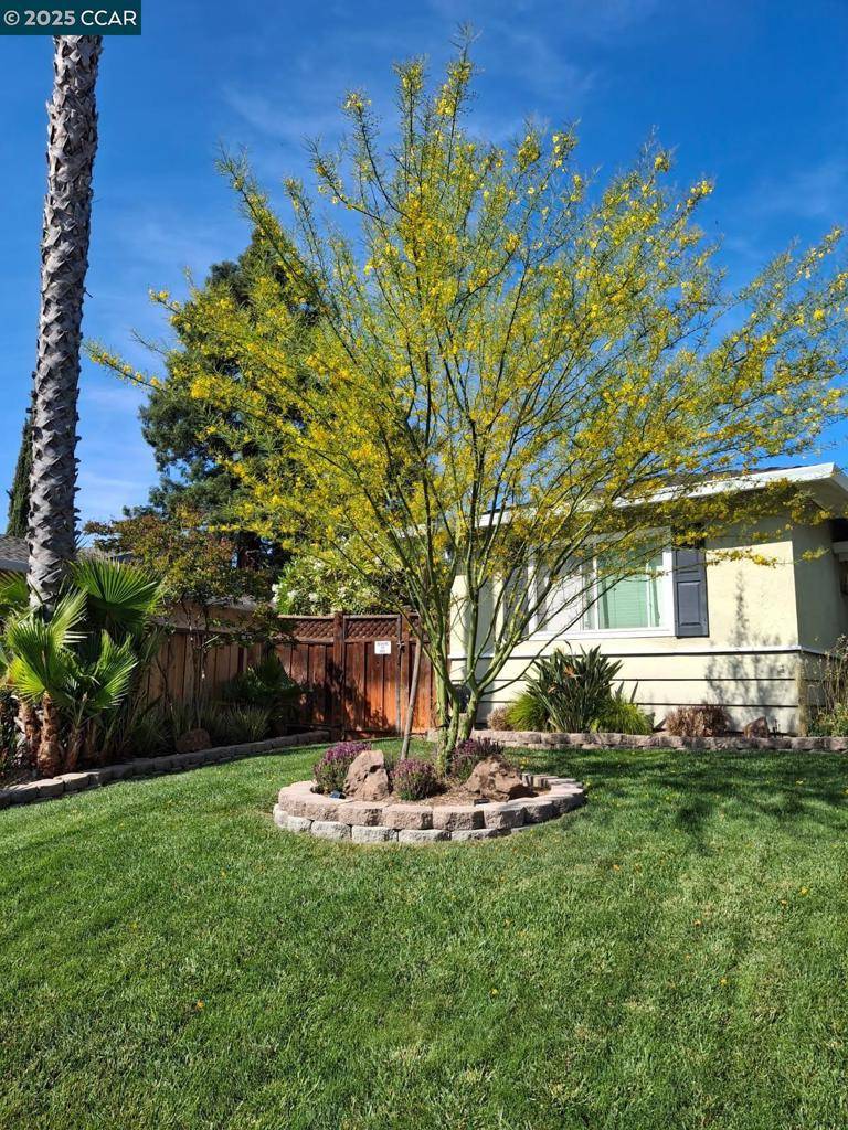 Concord, CA 94518,746 San Gabriel Ct