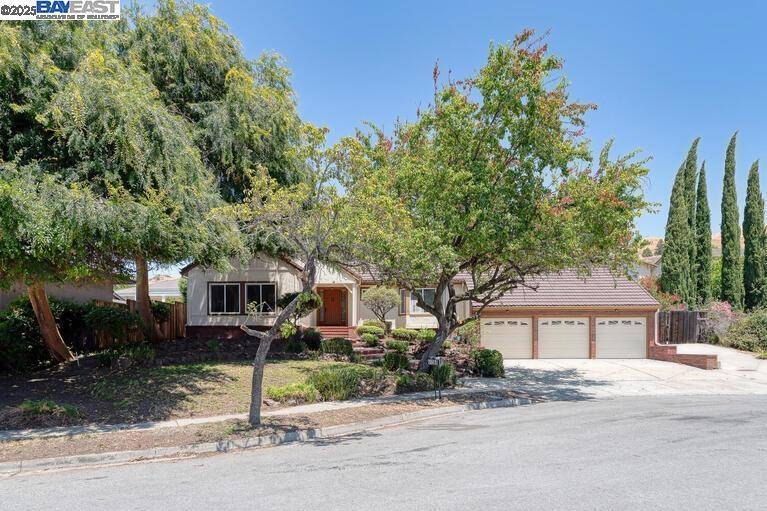 Fremont, CA 94539,41366 Charlita Ct