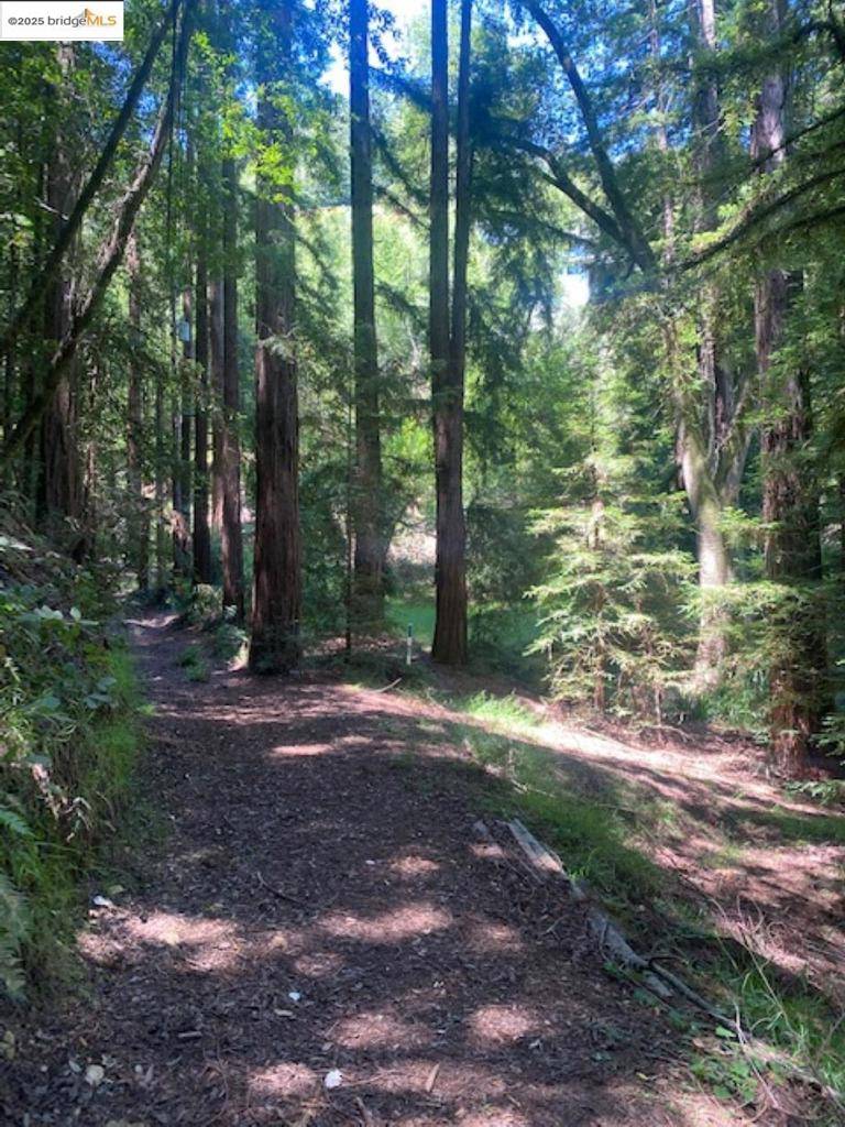 Mill Valley, CA 94941,2 Wainwright Pl