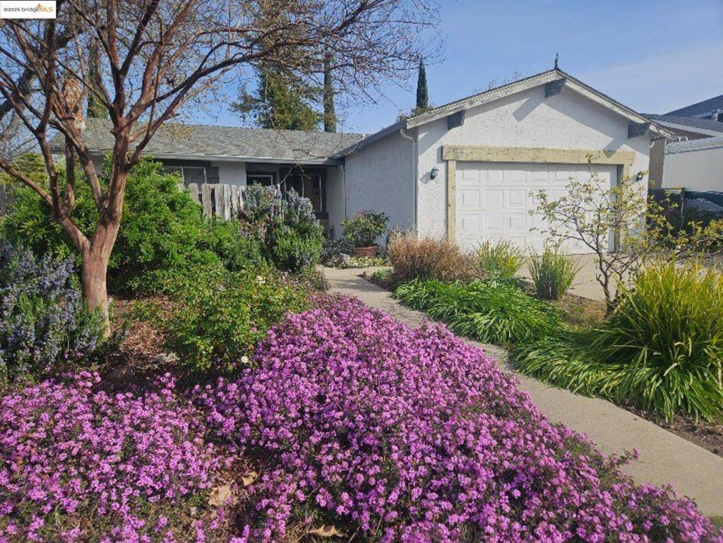 Oakley, CA 94561,1998 Chardonnay Dr
