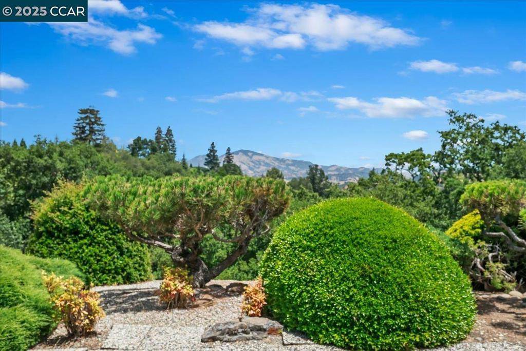 Walnut Creek, CA 94595,1429 Skycrest Dr #3