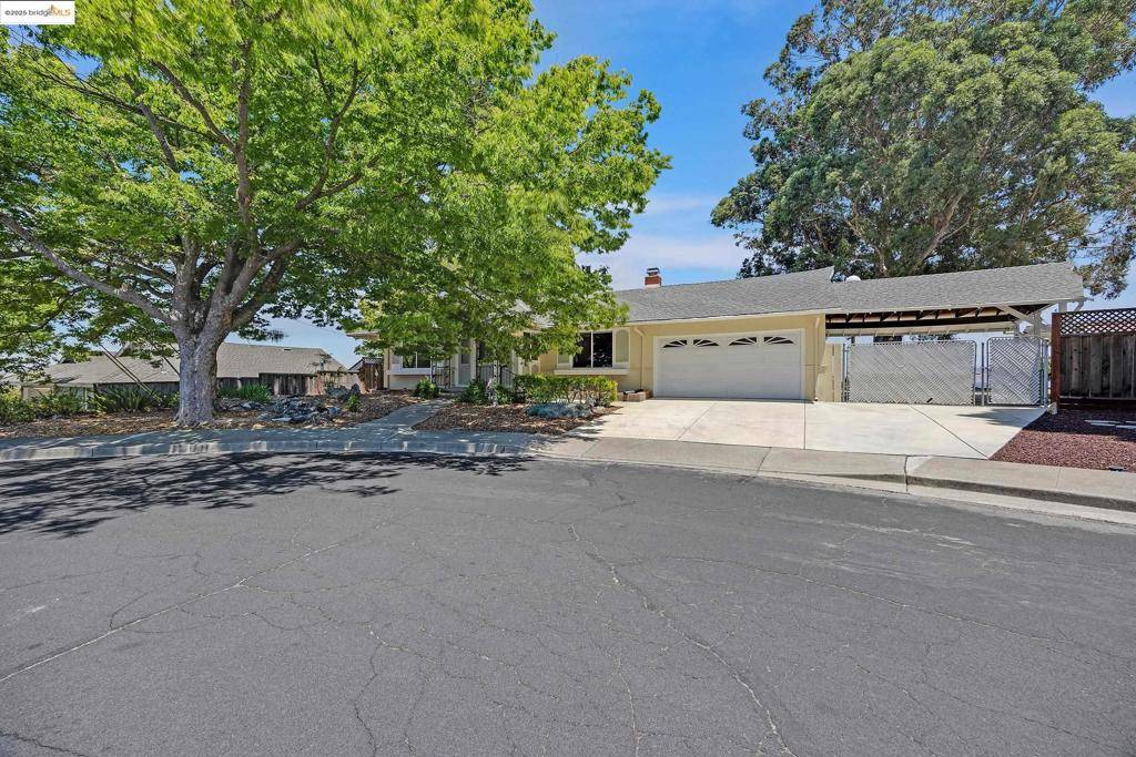 Walnut Creek, CA 94597,Address not disclosed