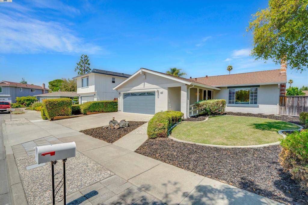 Fremont, CA 94539,251 Helado Rd