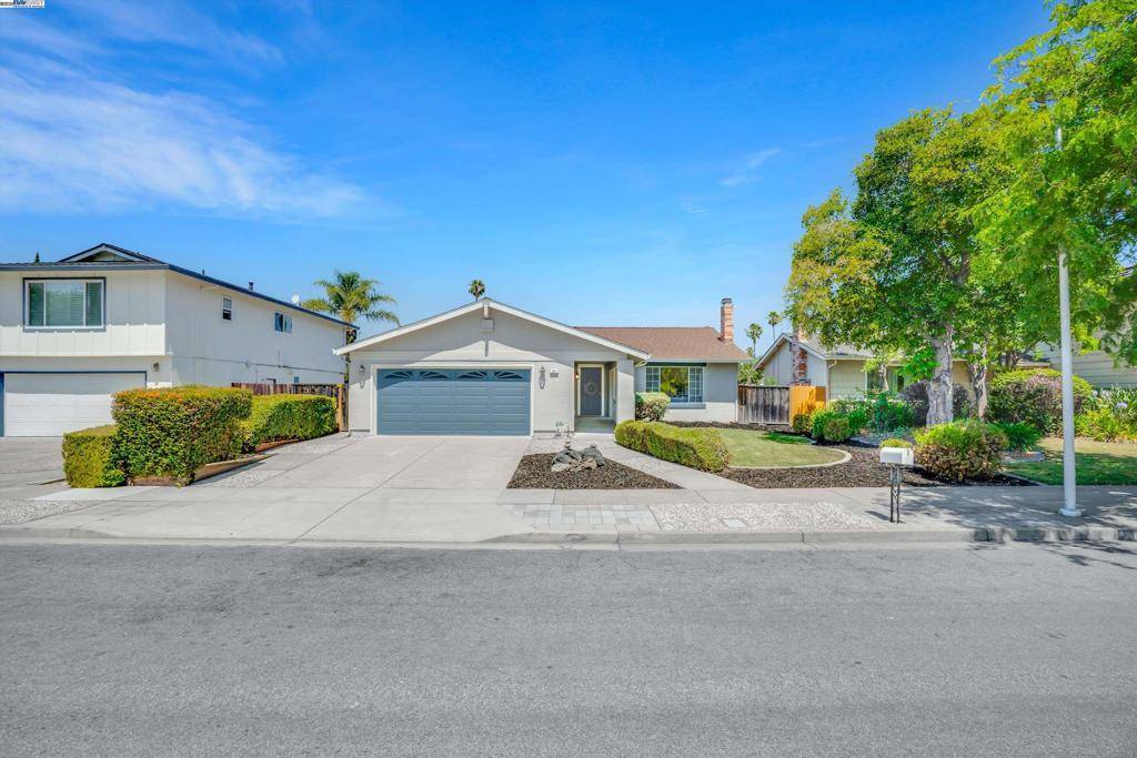 Fremont, CA 94539,251 Helado Rd