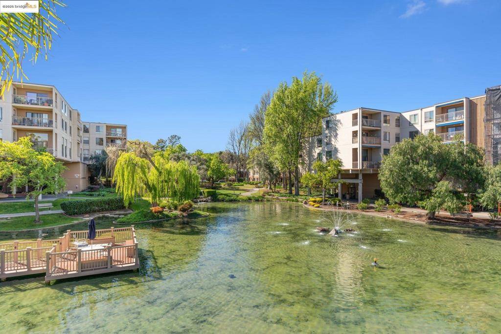 Walnut Creek, CA 94596,470 N N Civic Drive #105