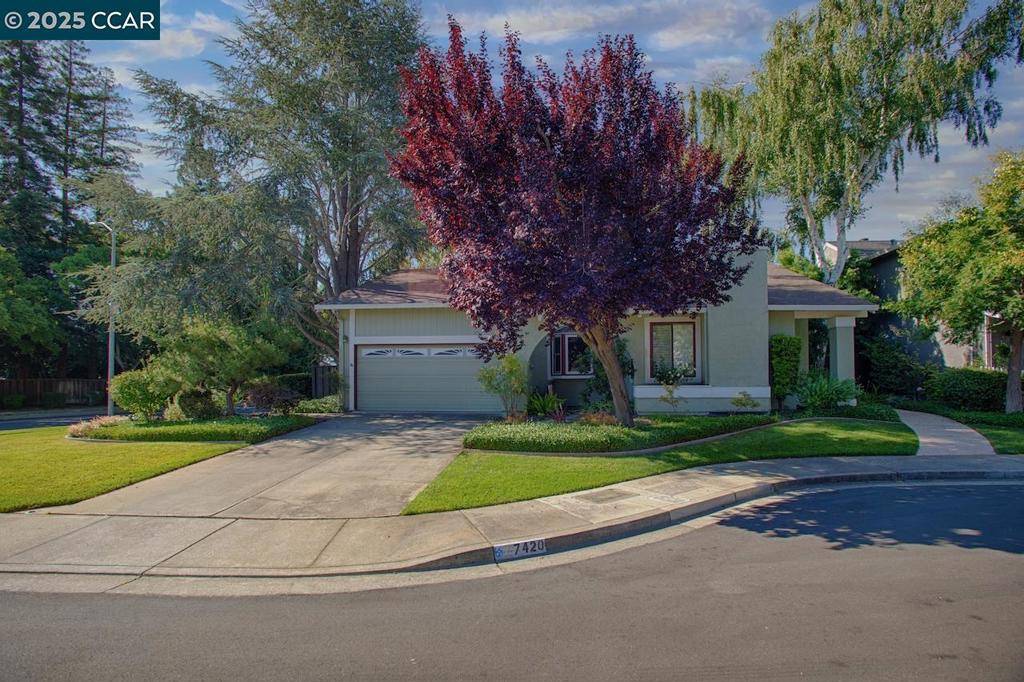 Pleasanton, CA 94588,7420 Aster Ct