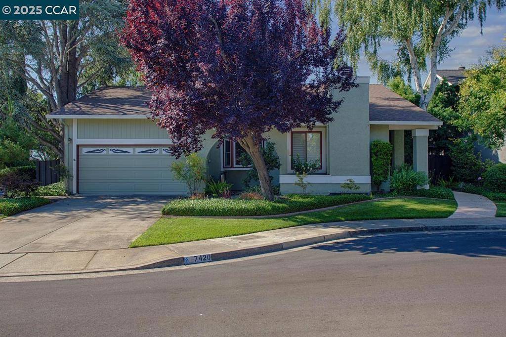 Pleasanton, CA 94588,7420 Aster Ct