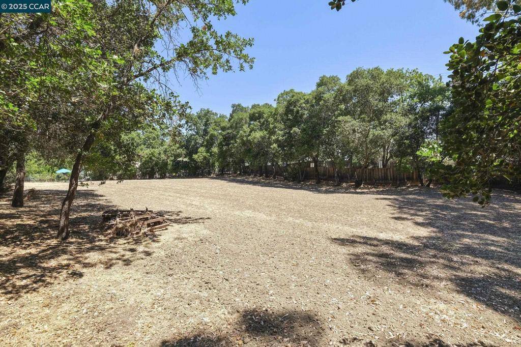 Walnut Creek, CA 94595-1318,Boulevard Way